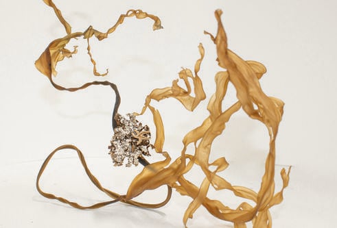 twisted, dried yellow painted seaweed