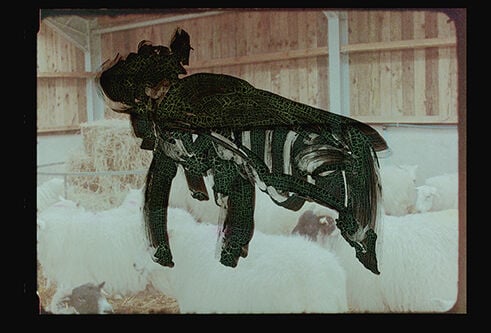 16mm film still from the film Bear