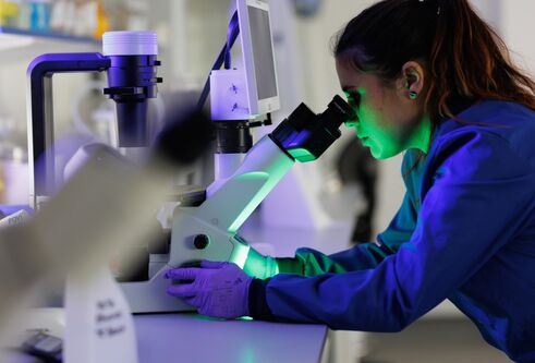 Working laboratory in The Centre for Targeted Protein Degradation (CeTPD)