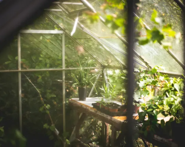 greenhouse in garden