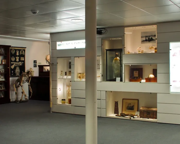 Panorama view of the Zoology museum with cabinets filled with zoology items in the centre of the room and surrounding the walls