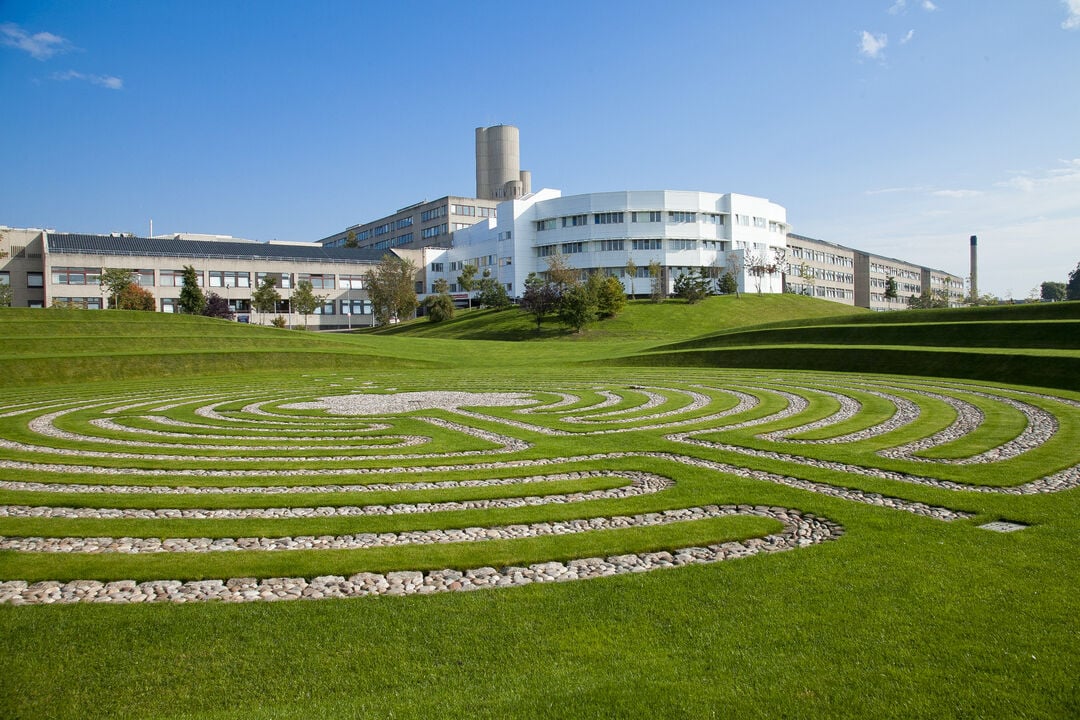 white building behind green grass