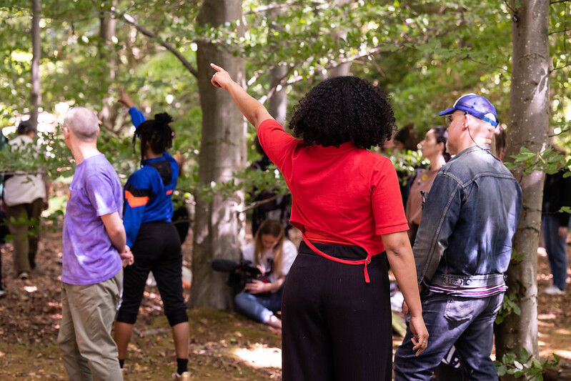 performance in wooded area