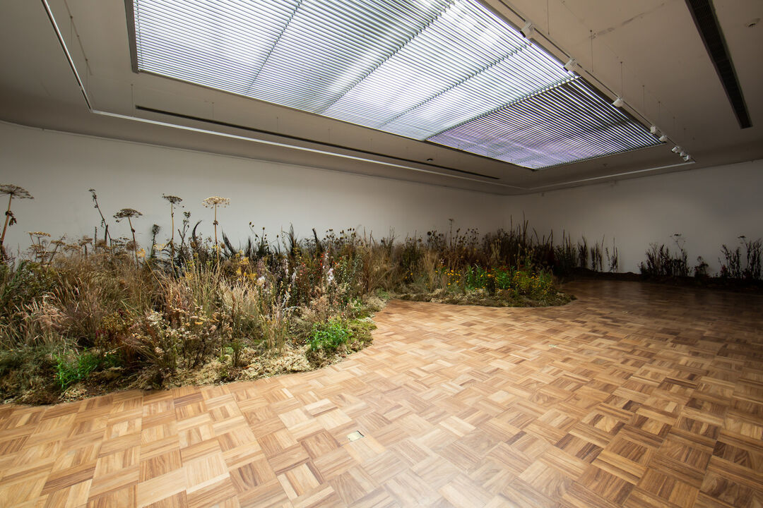 A meadow of flowers and grasses in a gallery