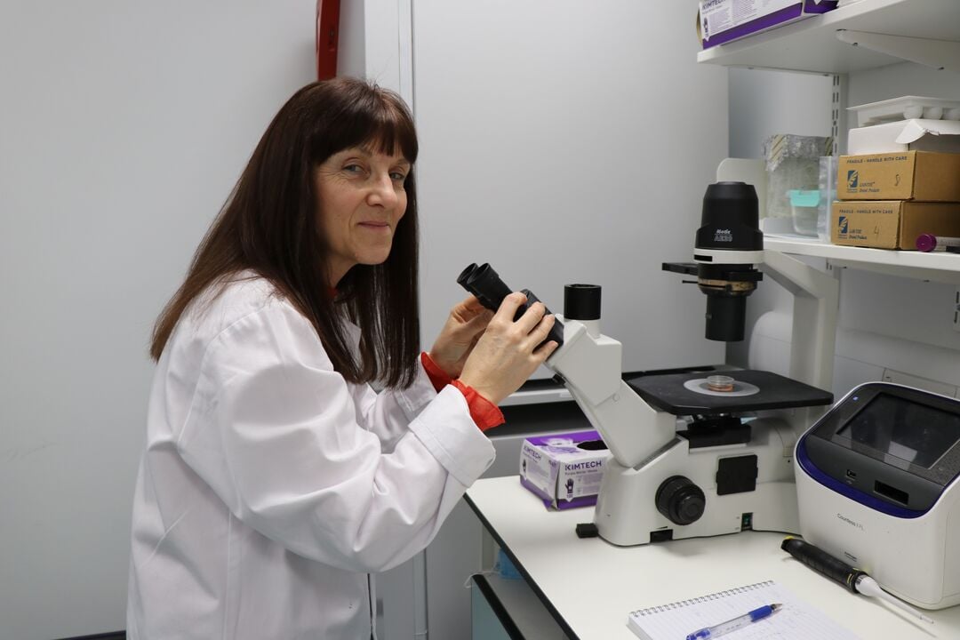 Woman with long dark hair wearing a white lab coat, poised over a microscope and holding the eye piece as if she is about to look through it