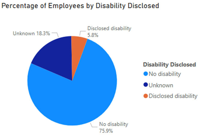 A graph shows percentage of employees by disability disclosed - no disability 75.9%, unknown 18.3%,  disclosed 5.8%