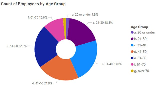 Graph shows count of employees by age group a. 20 years or under 1.9% b. 21 - 30 years  - 18.5% c. 31 - 40 years - 23.0% d. 41 - 50 years - 21.9% e. 51 - 60 years - 22.6% f. 61 - 70 years - 10.6%